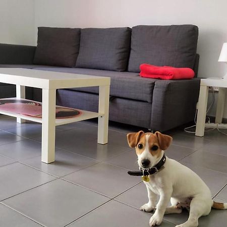 Suitedreams - Feixa 41 Andorra la Vella Ngoại thất bức ảnh