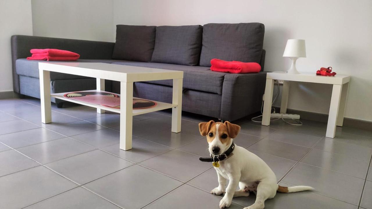 Suitedreams - Feixa 41 Andorra la Vella Ngoại thất bức ảnh